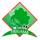 Frigamb
